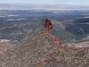 Bears Head
