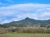 Tom, Mount