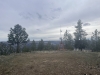Cayuse Mountain