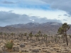 Quail Mountain
