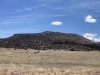 Wild Mountain