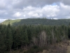 "Naughty Hill"