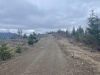 Saddle Mountain