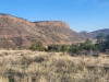 Steamboat Mountain