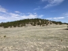 Red Point