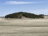 Red Point