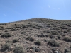 Wolf Creek Benchmark