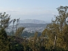 Sutro, Mount