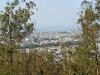Sutro, Mount