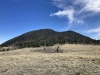Thirtyone Mile Mountain