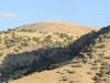 Houghland Hill