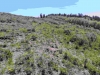 Dead Horse Ridge