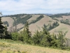 Buck Mountain