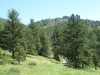 Round Mountain