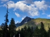 Dickerman, Mount