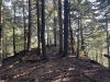 Iron Creek Butte
