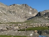 Oeneis, Mount
