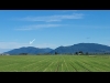 "Middle Chuckanut"