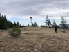High Ridge