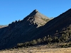 "Woods Pinnacles"