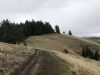 Pikes Peak Benchmark