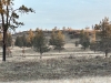 Red Hill