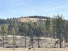 Tupper Butte