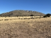 Hogback, The