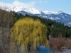 McKinney Mountain