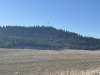 Mason Butte