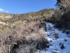 West Ridge