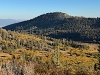 "Chickadee Ridge"
