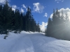 Silver Butte