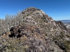 Black Crook Peak