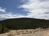 Montana Mountain