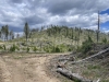 "Huckleberry Mountain South"