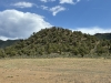 "Prendergast Hill"