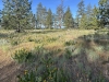 Black Canyon Butte