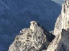 "Monkey's Head"