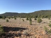 Techado Mesa