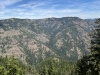 Trapper Ridge