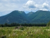 Bald Mountain