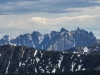 Needles, The
