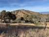 Loco Hills