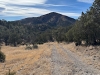 Reilly Peak