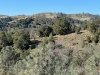 Johnson, Mount