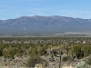 Wilson, Mount