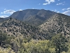 Badger Mountain