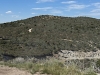 Calamity Ridge