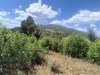 Bald Mountain